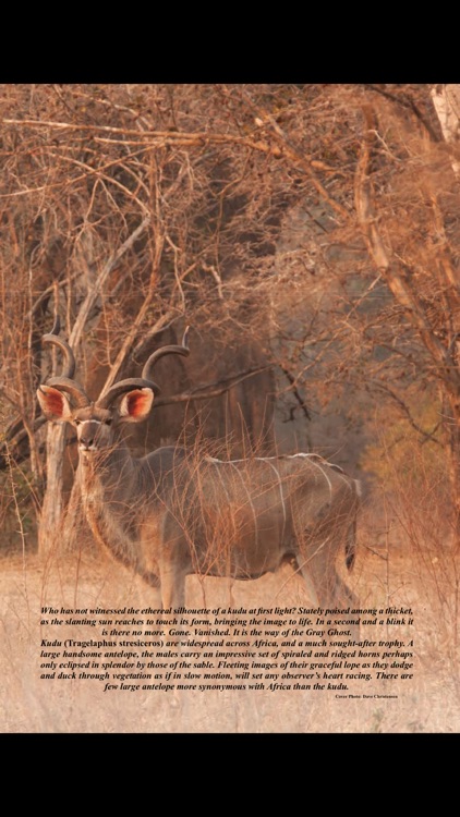 The African Hunter screenshot-4