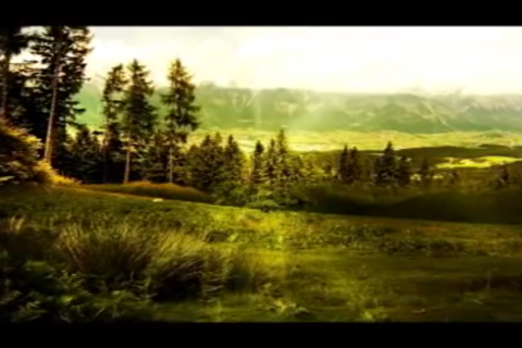 Reiki Music screenshot 2