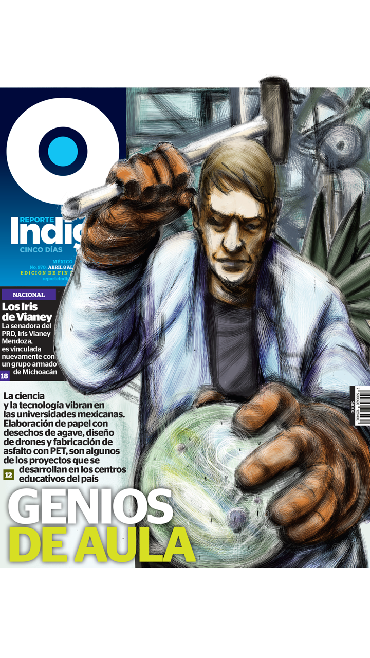 Reporte Indigo DF screenshot 1