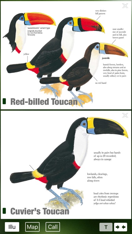 All Birds Venezuela - a complete field guide to identify all the bird species recorded in Venezuela screenshot-3