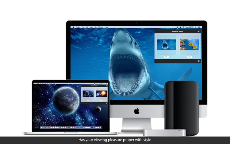 Screenshot #3 pour Wallpaper Switch