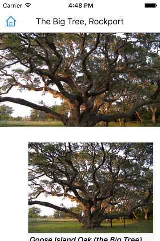 CHI Encyclopedia of Famous Trees screenshot 4