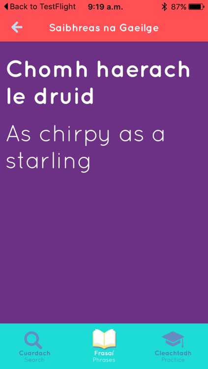Saibhreas na Gaeilge screenshot-3