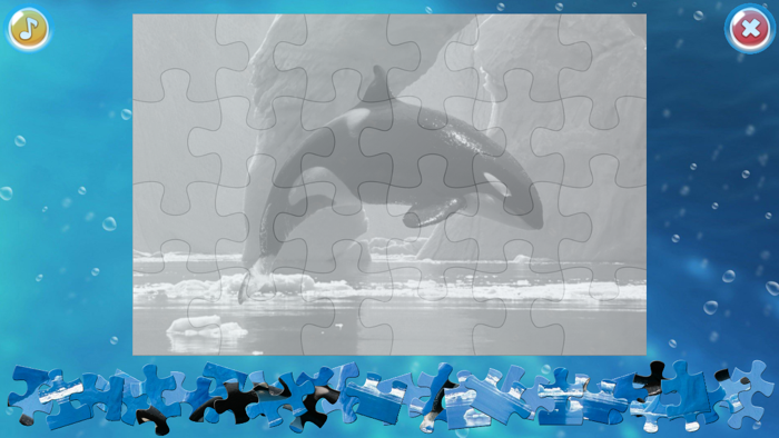 Arctic Animals Puzzle