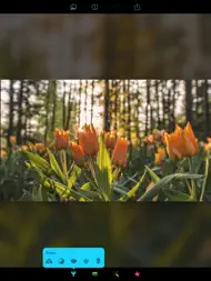 Filters for iPhone and iPad ipad bilder 1
