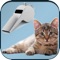 Icon Cat Whistle Sounds - Trainer free