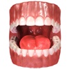 Virtual Reality(VR) Teeth Anatomy