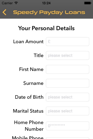 Speedy Payday Loans screenshot 4