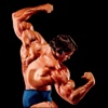 The Bible of Bodybuilding:The New Encyclopedia of Modern Bodybuilding
