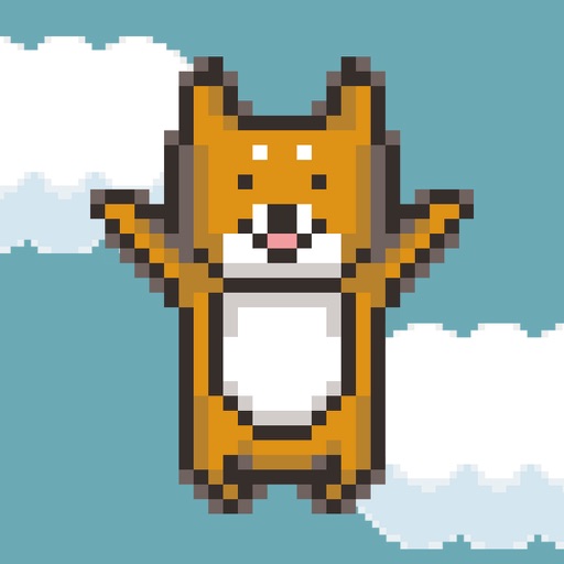 コタロージャンプ