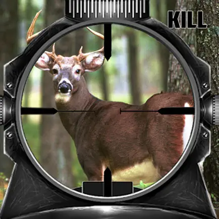 Deer Hunting Game : Best Deer Hunter in Jungle Sniper Game of 2016 Cheats