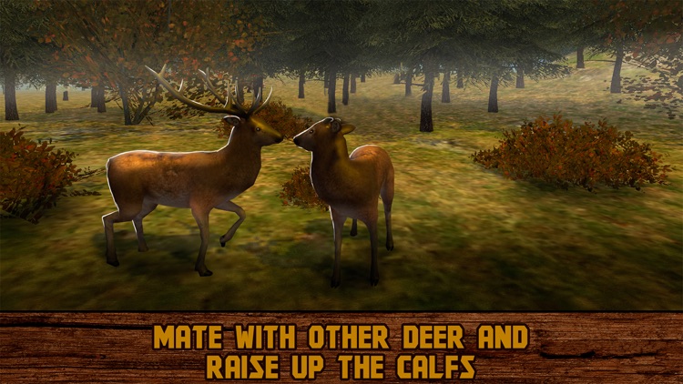 Forest Deer: Wild Survival