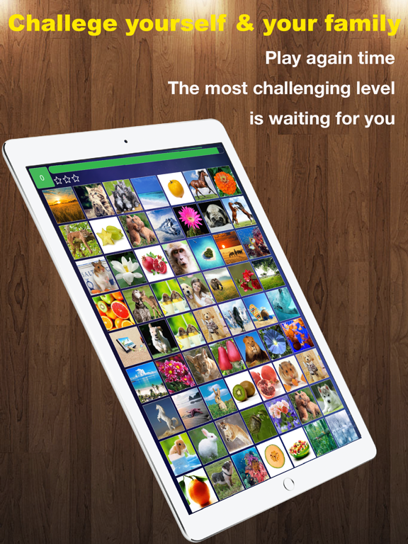 Screenshot #5 pour Find Double - Matching pair game with cute photos