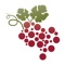 The Napa Wine Project is the most comprehensive guide to Napa Valley wineries, producers and tasting rooms available