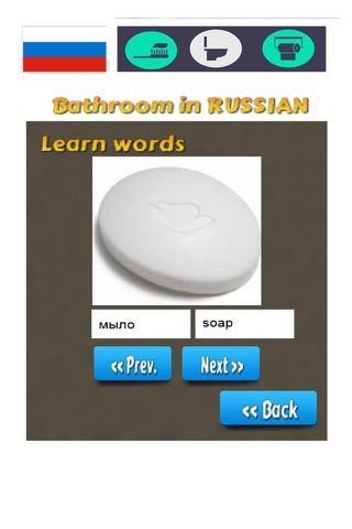 Russian Vocabulary Teacher - Bathroom Words screenshot 3