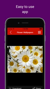 Background Wallpapers: Get pictures & snaps of Love, Romance and heart screenshot #3 for iPhone