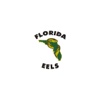 Florida Eels