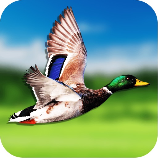 2016 Duck Hunter ~ Safari Shoot Action games