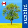 Tree Id Canada - identify over 1000 native Canadian species of Trees, Shrubs and Bushes App Feedback