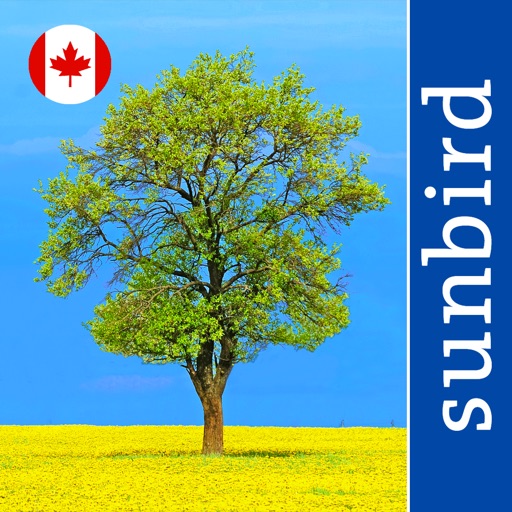 Tree Id Canada - identify over 1000 native Canadian species of Trees, Shrubs and Bushes icon