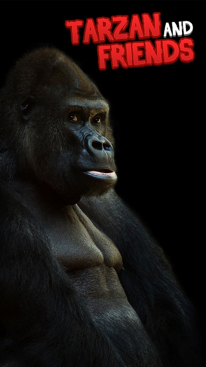 Photo knockout prank - legend of tarzan style lens+selfie sticker maker free screenshot-4