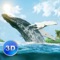 Big Blue Whale Survival 3D - Try whale simulator, be ocean animal!