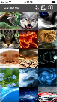 Wallpapers Collection Premium iphone bilder 1