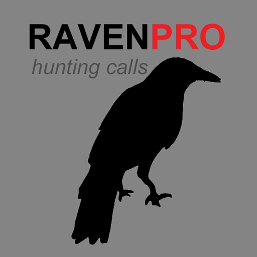 REAL Raven Hunting Calls -- 7 REAL Raven CALLS & Raven Sounds! - Raven e-Caller - Ad Free - BLUETOOTH COMPATIBLE iOS App