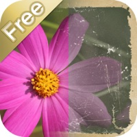 OldPic Agent app icon - Photo & Video app for iPhone