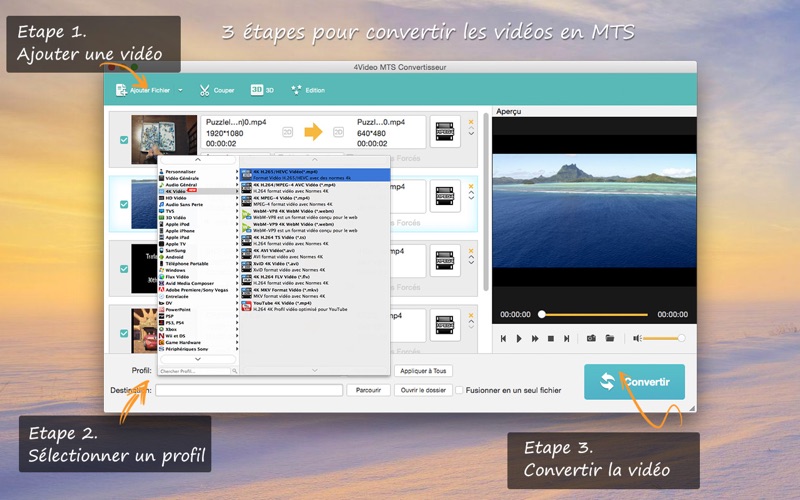 Screenshot #1 pour 4Video MTS Converter - to MP4