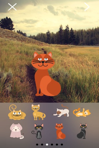 Now That's Cats & Kittens: Turn Your Photos Into Greeting Cards With Stickers screenshot 2