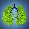 I Don't Smoke! - Easy Way To Quit Smoking! - Bestapp Studio Ltd.