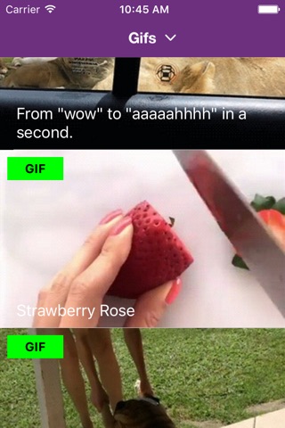 It's Viral! - New and Trending Videos, Gifs, Memes and Pics screenshot 2