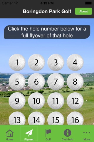 Boringdon Park Golf screenshot 2