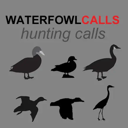 Waterfowl Hunting Calls - The Ultimate Waterfowl Hunting Calls App For Ducks, Geese & Sandhill Cranes - BLUETOOTH COMPATIBLE Cheats