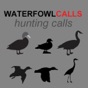 Waterfowl Hunting Calls - The Ultimate Waterfowl Hunting Calls App For Ducks, Geese & Sandhill Cranes - BLUETOOTH COMPATIBLE app download