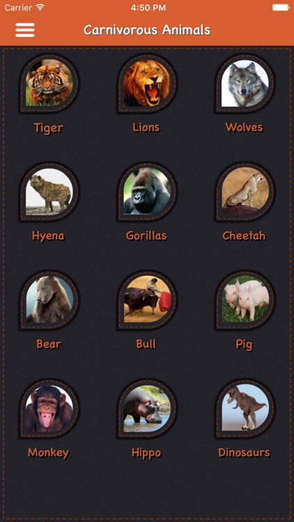 Animal Sounds with Pictures