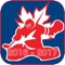 Hockey World Junior Championship Live 16 - 17