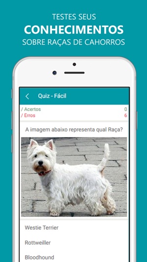 Guia de Cães(圖5)-速報App