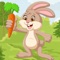 Dodge The Enemy, Hop to Collect Carrots in Jumping Bunny 2D game to Set the Highest scores