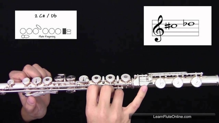 Flute Lessons - How To Play Flute By Videos