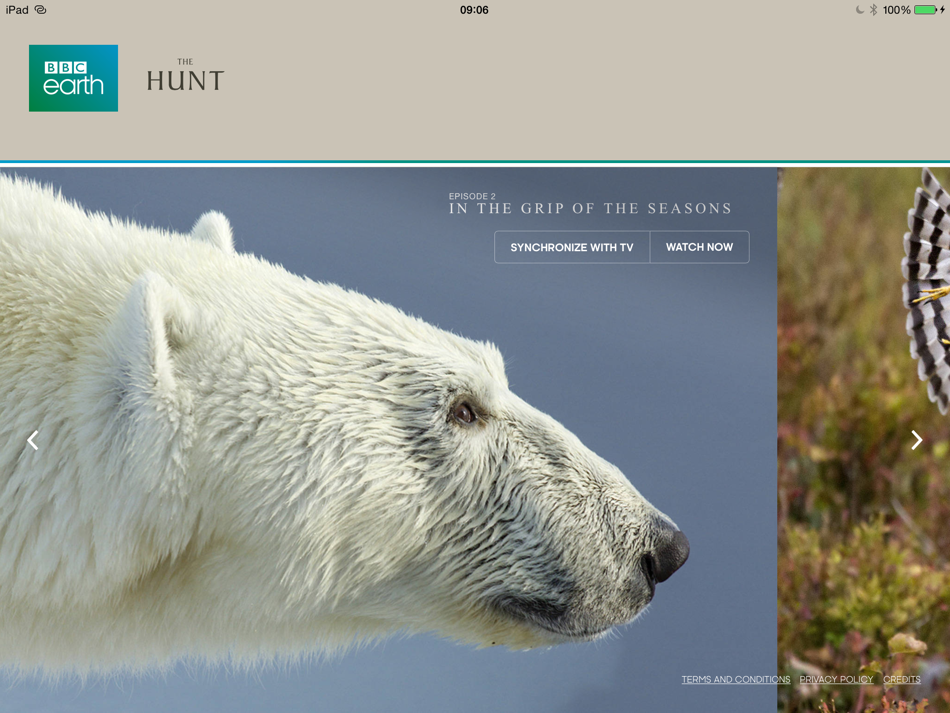 The Hunt - BBC Earth - Natural History Interactive TV Series - 1.2.1 - (iOS)