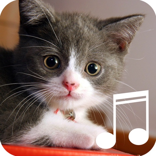 Cat Relaxing Sounds and Pictures-Free app for toddlers and kids who love crazy kittens to relax and calm down icon