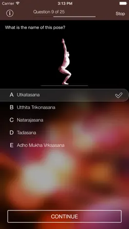 Game screenshot Sanskrit-Yoga hack