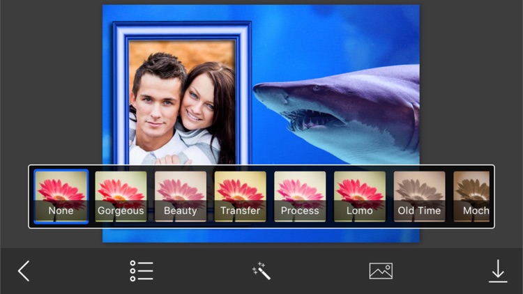 WildAnimal Photo Frame - Amazing Picture Frames & Photo Editor screenshot-3