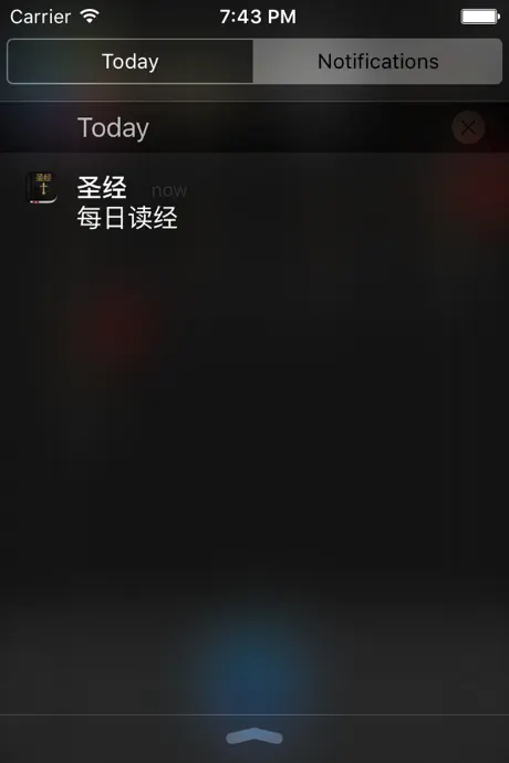 圣经 ( Chinese Bible )