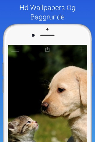 Live Wallpapers Free - Dynamic Backgrounds, Live Lock Screens, And Animated Themes screenshot 3