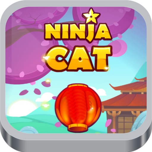 Ninja Cat Coloreful Game