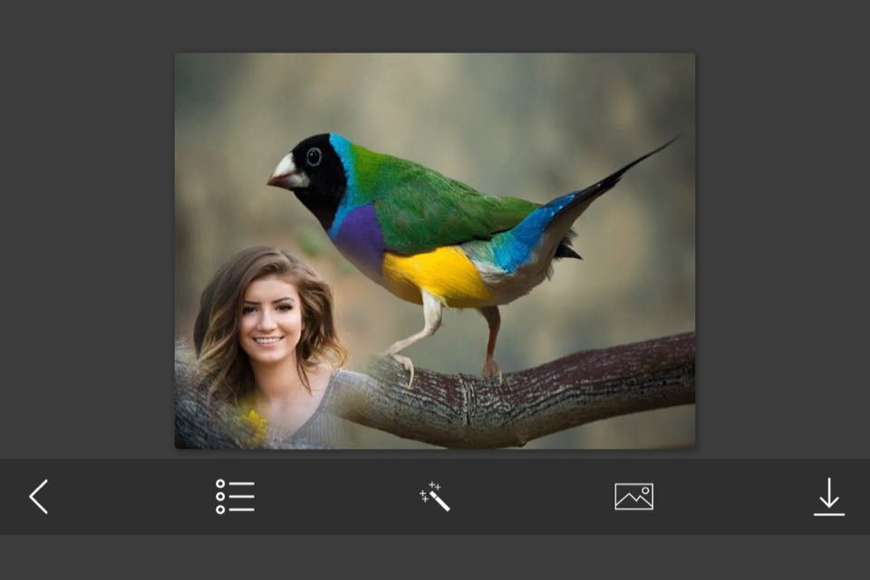 Bird Photo Frames - Creative Frames for your photo screenshot 2