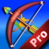 A Tournament Olympic Of Arrow Pro - Best World Cup Archery Game